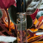 Отзыв Diptyque Philosykos