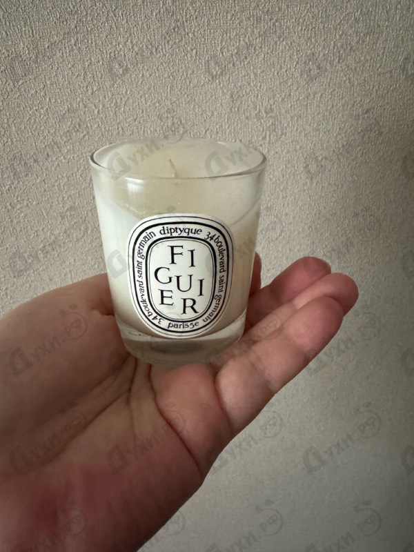 Парфюмерия Diptyque Philosykos