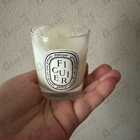 Отзыв Diptyque Philosykos