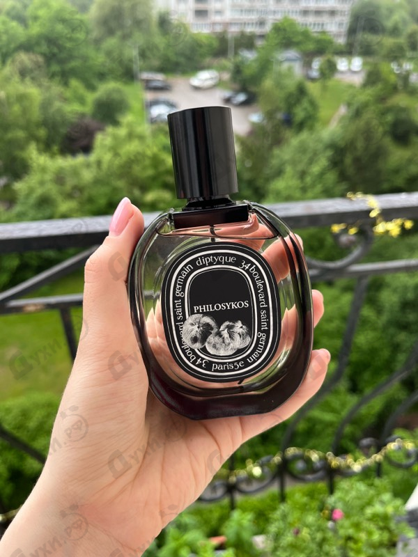 Купить Philosykos от Diptyque
