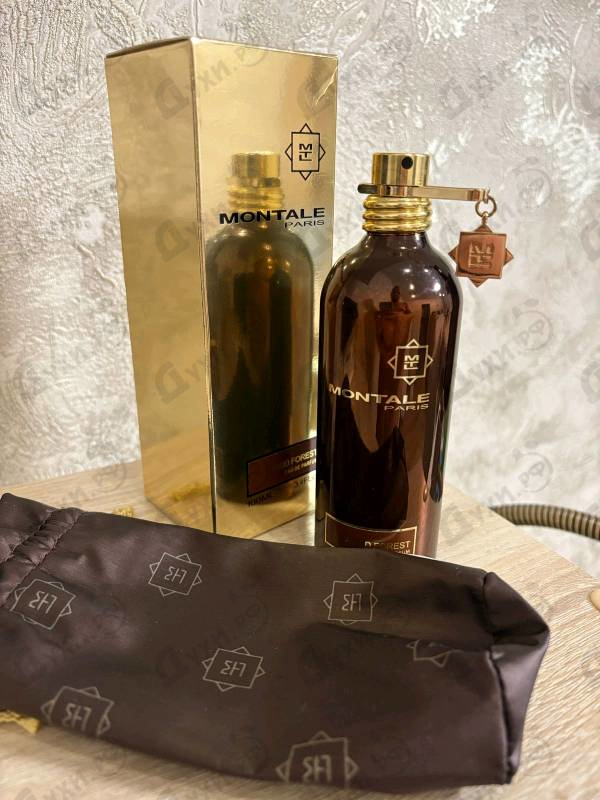 Парфюмерия Aoud Forest от Montale