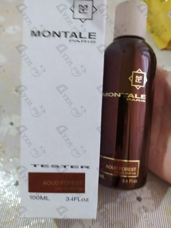 Купить Aoud Forest от Montale