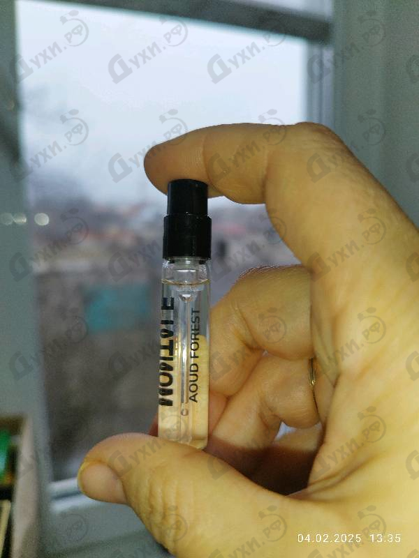 Купить Aoud Forest от Montale