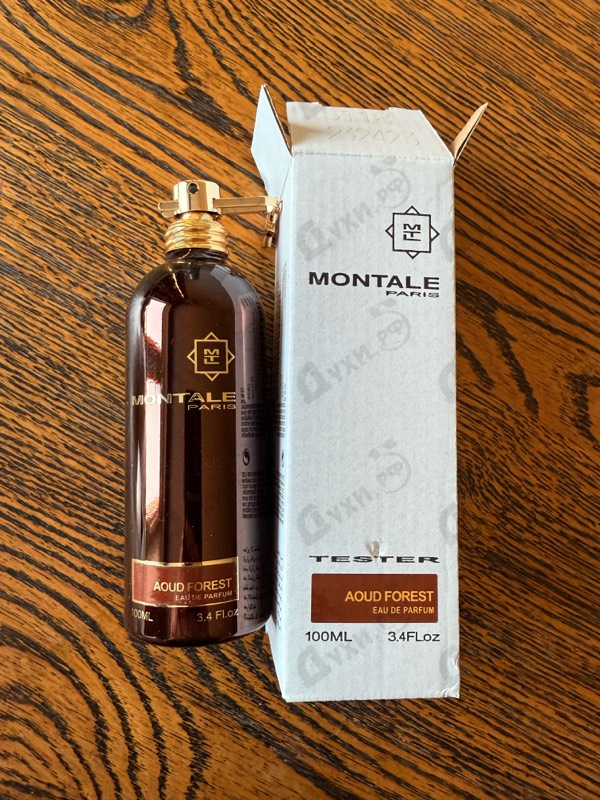 Купить Aoud Forest от Montale