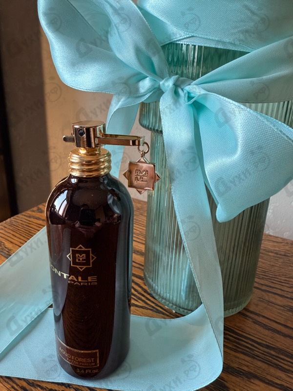 Парфюмерия Aoud Forest от Montale