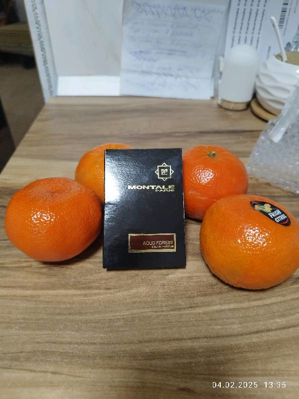 Купить Aoud Forest от Montale