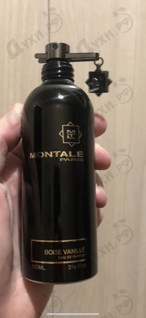 Купить Boise Vanille от Montale