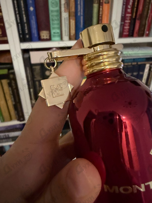 Купить Red Vetyver от Montale