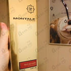 Отзывы Montale Red Vetyver