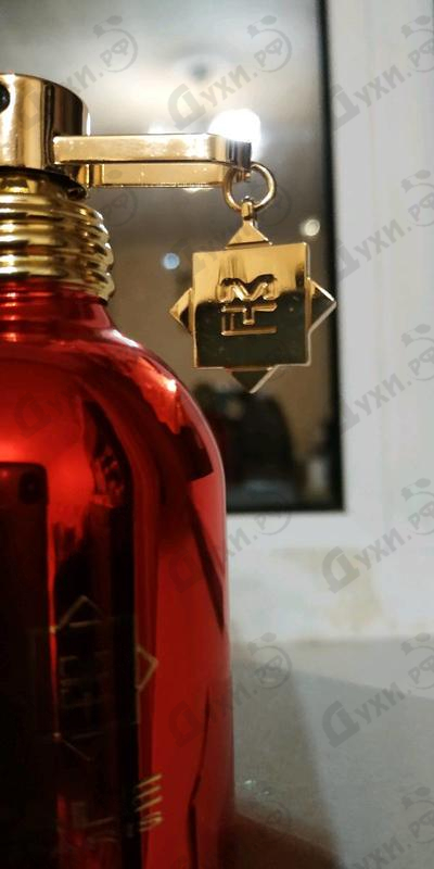 Купить Red Vetyver от Montale