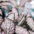 Парфюм Montale Sandflowers