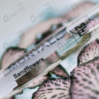 Духи Sandflowers от Montale