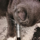 Отзыв Montale Vanilla Extasy