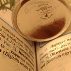 Отзыв Montale Wild Pears