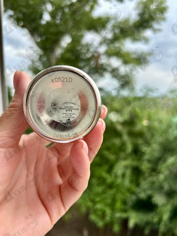 Купить Wild Pears от Montale