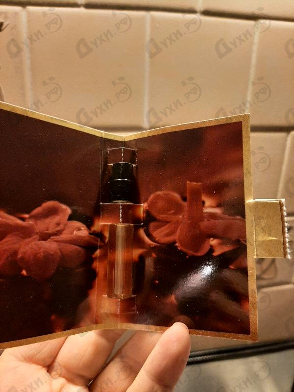 Купить Montale Wild Pears