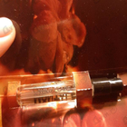 Отзывы Montale Wild Pears