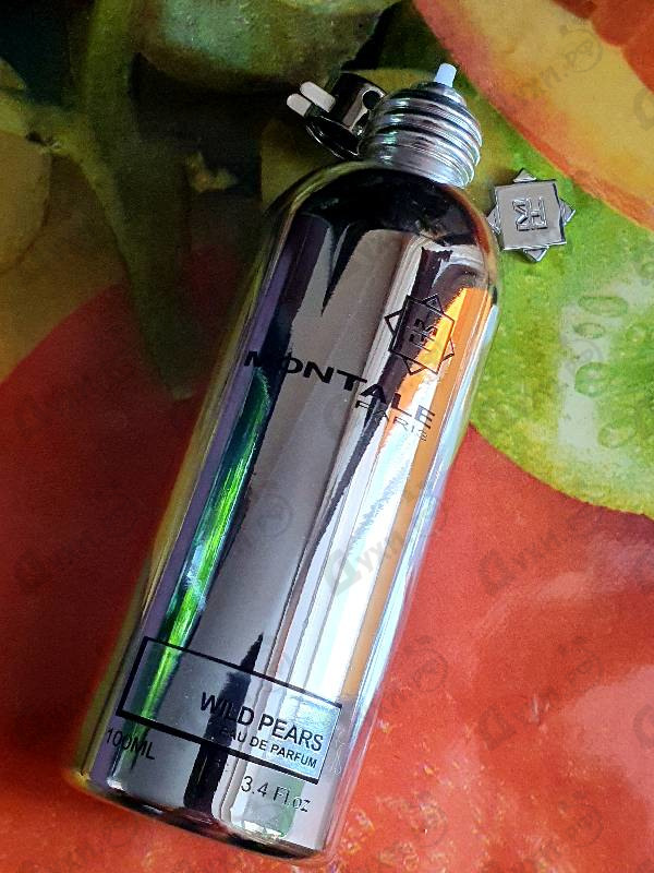 Отзывы Montale Wild Pears