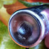 Купить Wild Pears от Montale