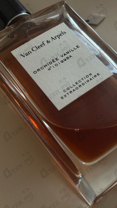 Духи Orchidee Vanille от Van Cleef & Arpels