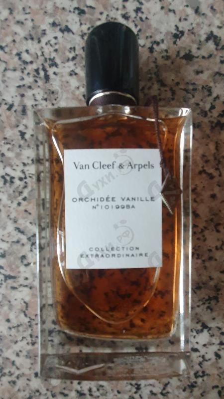 Купить Orchidee Vanille от Van Cleef & Arpels
