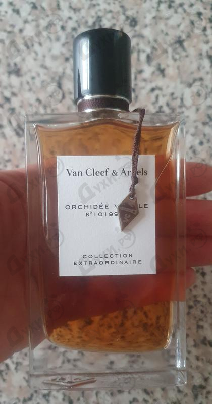 Купить Orchidee Vanille от Van Cleef & Arpels
