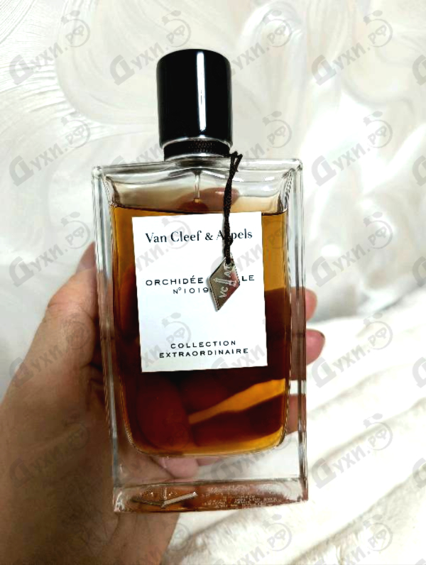 Духи Orchidee Vanille от Van Cleef & Arpels