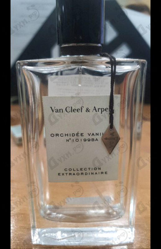 Отзывы Van Cleef & Arpels Orchidee Vanille