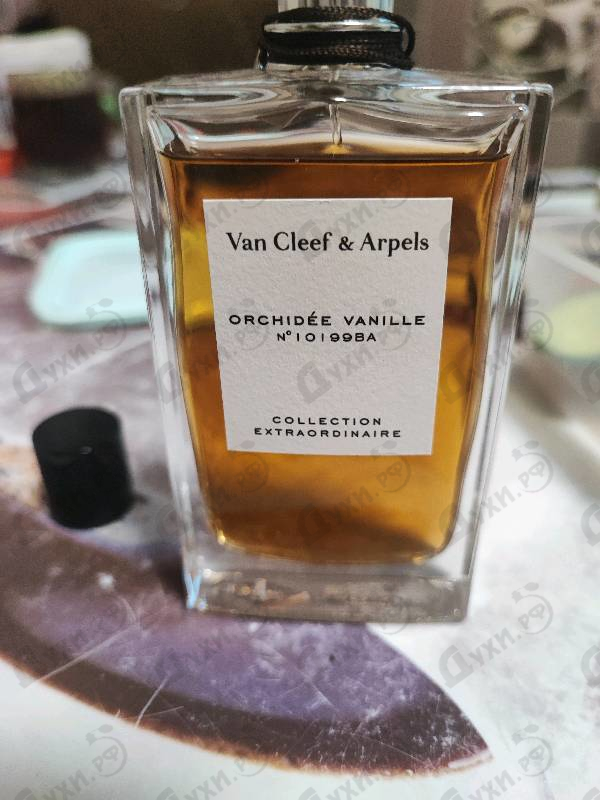 Купить Orchidee Vanille от Van Cleef & Arpels