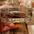 Отзывы Van Cleef & Arpels Orchidee Vanille