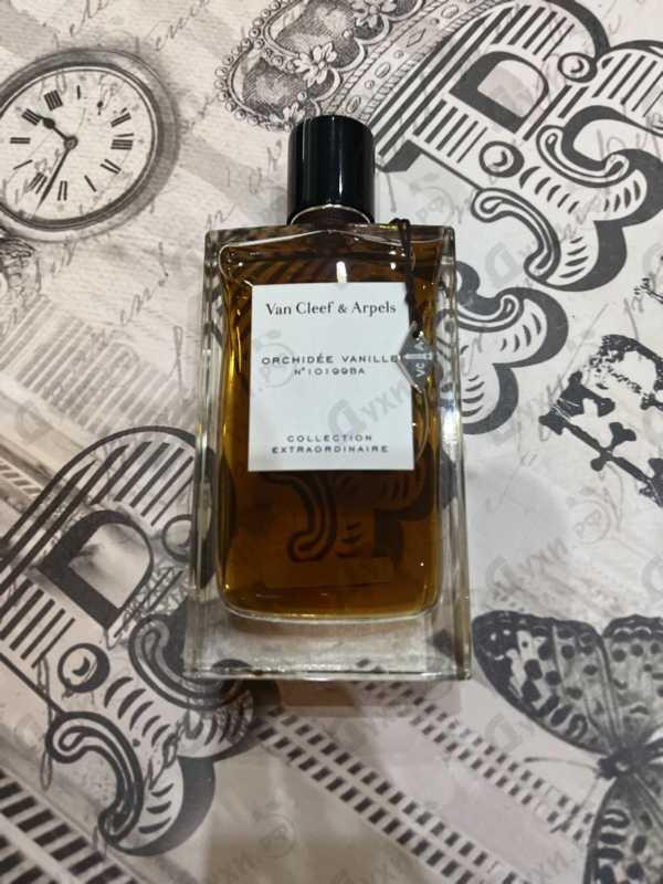 Духи Orchidee Vanille от Van Cleef & Arpels Купить Van Cleef & Arpels Orchidee Vanille