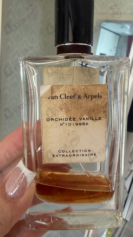 Отзывы Van Cleef & Arpels Orchidee Vanille