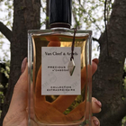 Духи Precious Oud от Van Cleef & Arpels