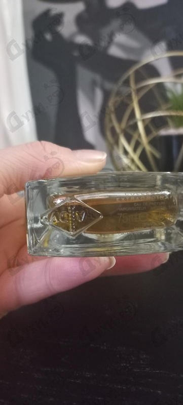 Парфюмерия Precious Oud от Van Cleef & Arpels Отзыв Van Cleef & Arpels Precious Oud