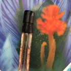 Отзывы Van Cleef & Arpels Precious Oud