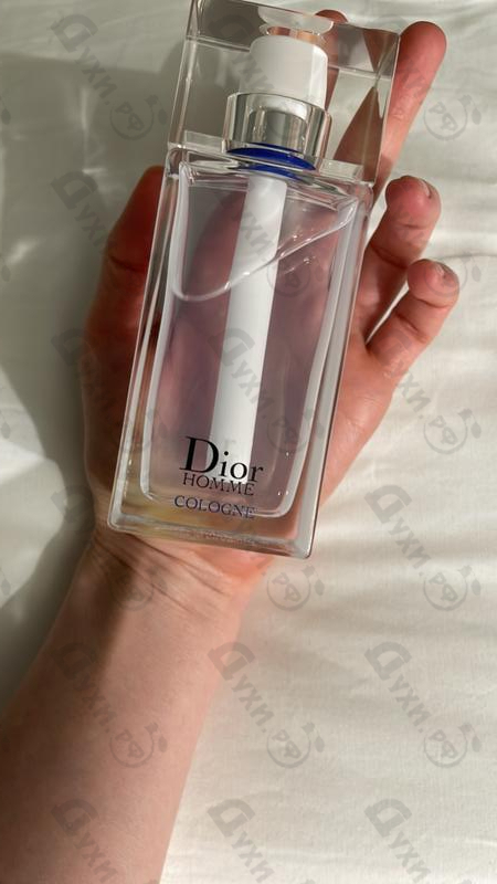 Купить Homme Cologne от Christian Dior