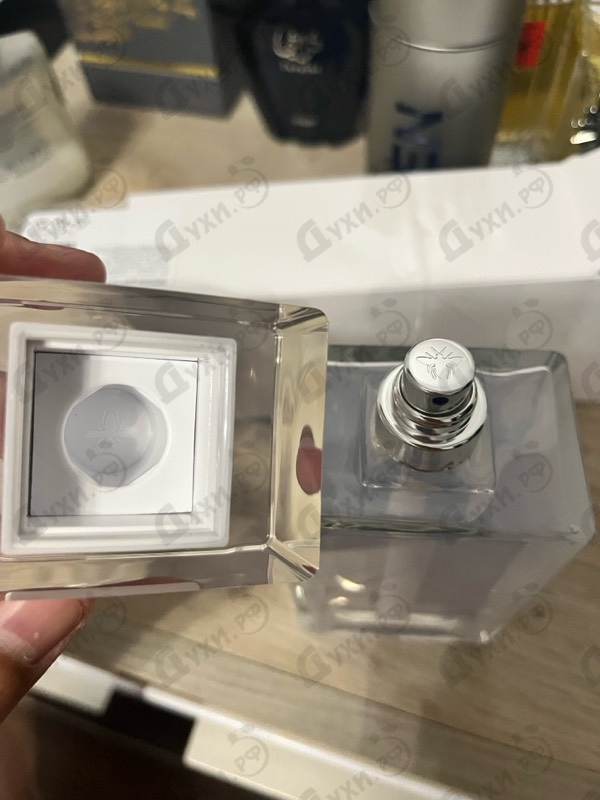 Купить Homme Cologne от Christian Dior