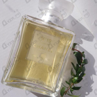 Отзыв Chanel 19 Poudre