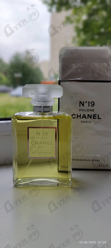 Купить 19 Poudre от Chanel