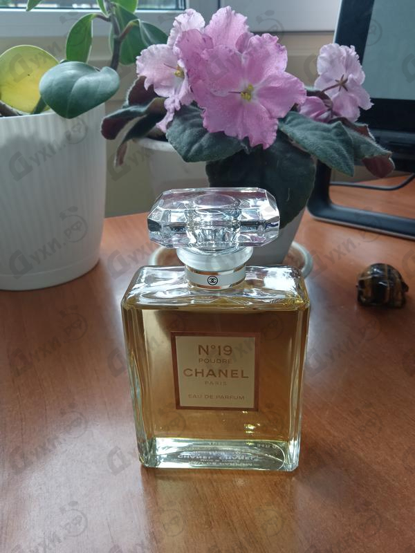 Духи 19 Poudre от Chanel