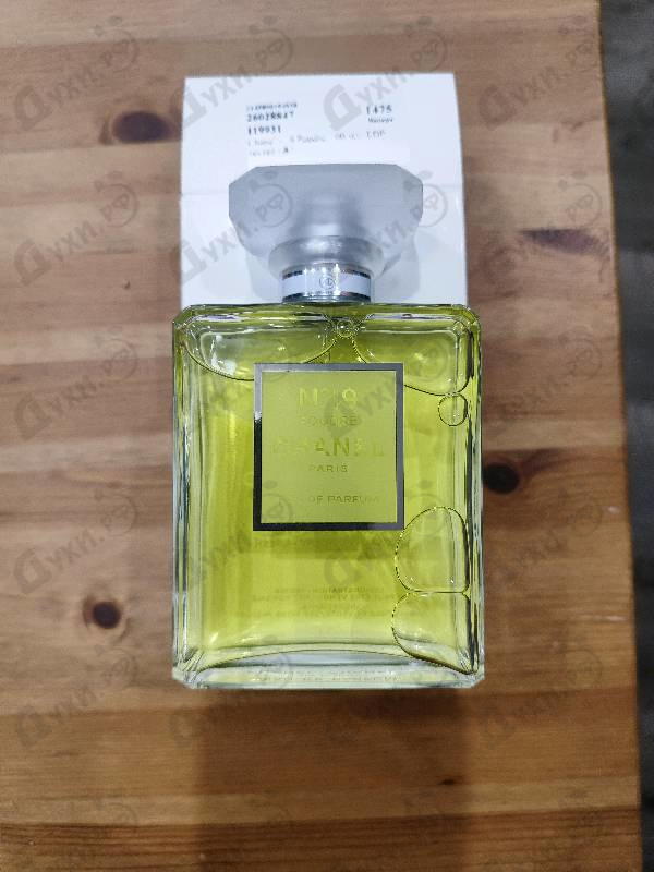 Парфюмерия Chanel 19 Poudre