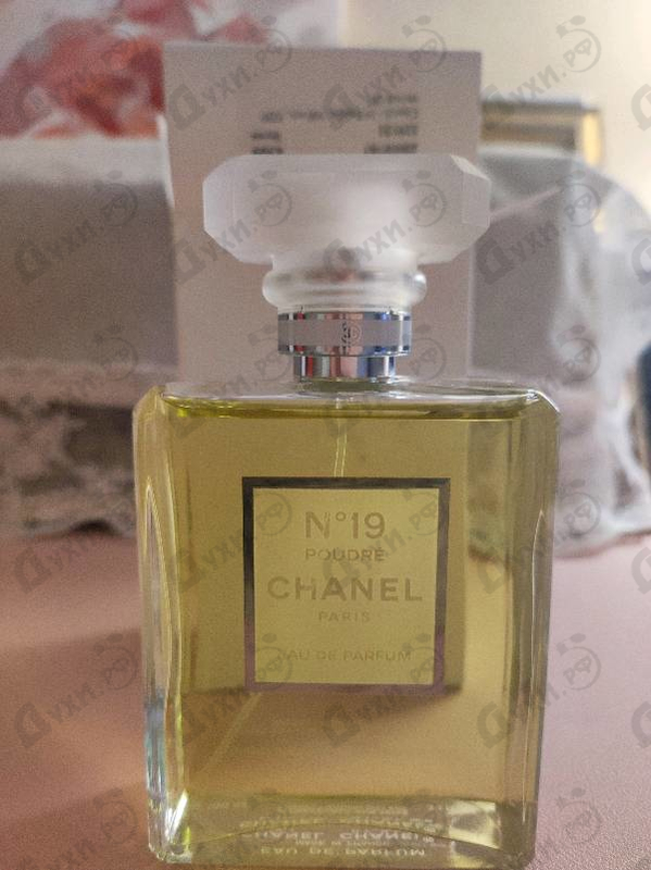 Купить 19 Poudre от Chanel