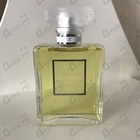 Отзыв Chanel 19 Poudre