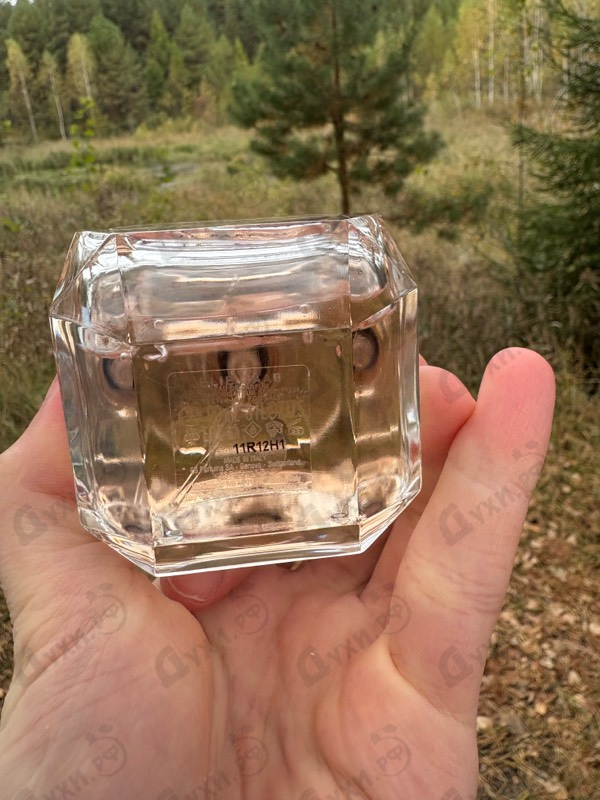 Купить Elie Saab Le Parfum