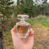 Парфюмерия Le Parfum от Elie Saab