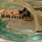 Отзыв Charriol Tourmaline