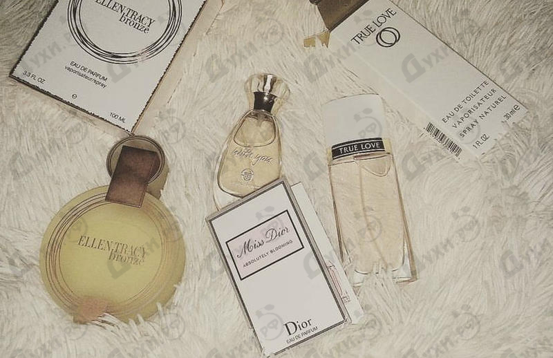 Купить Ellen Tracy Bronze Купить Bronze от Ellen Tracy