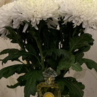 Отзыв Guerlain L'heure Bleue