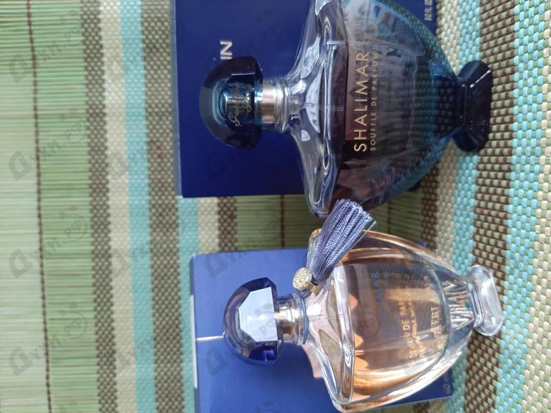 Отзывы Guerlain Shalimar Parfum Initial