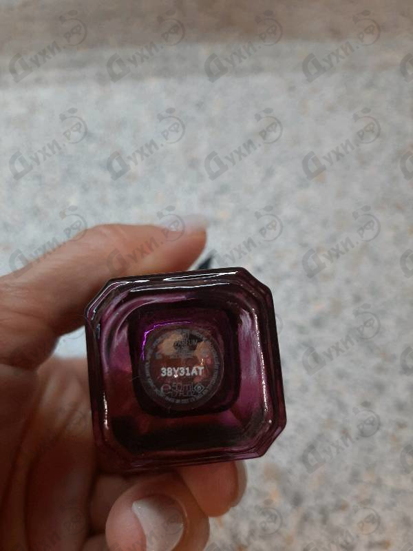 Отзывы Lancome Tresor  Midnight Rose